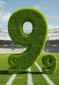 Green Grass Number Nine on Football Field with Stadium