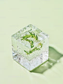 Fresh rosemary sprig frozen inside clear ice cube