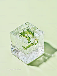 Fresh rosemary sprig frozen inside clear ice cube