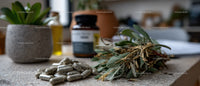 Dried Herbs and Supplement Pills for Natural Herbal Medicine