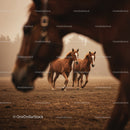 Majestic Herd of Brown Horses Running in Sunset Landscape