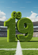 Green grass number 19 on soccer stadium field