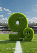 Grass covered number nine on a soccer field