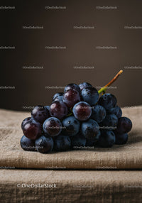 Fresh dark grapes cluster on rustic fabric background