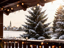 Snow-Covered Fir Trees on Winter Morning in Village