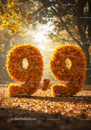 Autumn Leaves Forming 9 9 Percentage Symbols Outdoors
