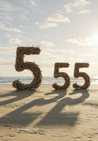 Natural Driftwood Number Fifty Five on Sunny Beach