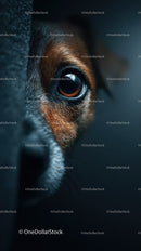 Close-Up of a Dog's Eye with Expressive Fur Detail