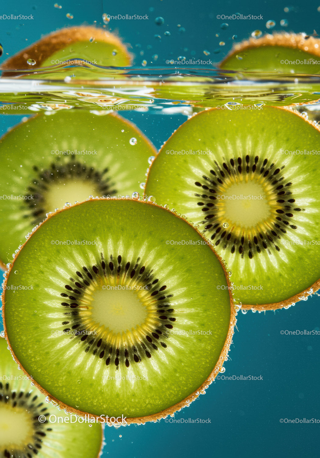 Fresh kiwi slices submerged in sparkling water