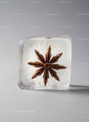 Star Anise Encased in Pristine Ice Cube