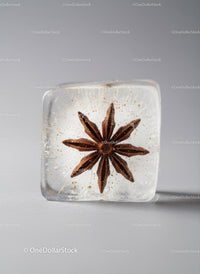 Star Anise Encased in Pristine Ice Cube