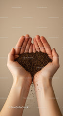 Hands gently holding rich soil granules