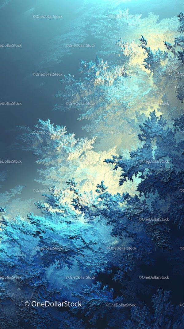 Frosted Pine Branches in a Scenic Winter Forest Landscape