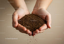 Hands Holding Loose Ground Coffee Grains Falling