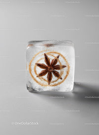 Star Anise Encased in Clear Ice Cube with Spices
