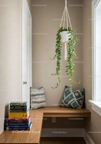 Green Hanging Plant in Cozy Corner with Cushions and Wooden Bench