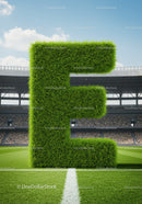 Lush Grass Letter E Standing on Soccer Field