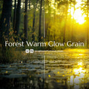 Forest Warm Glow Grain Lightroom presets cover preview