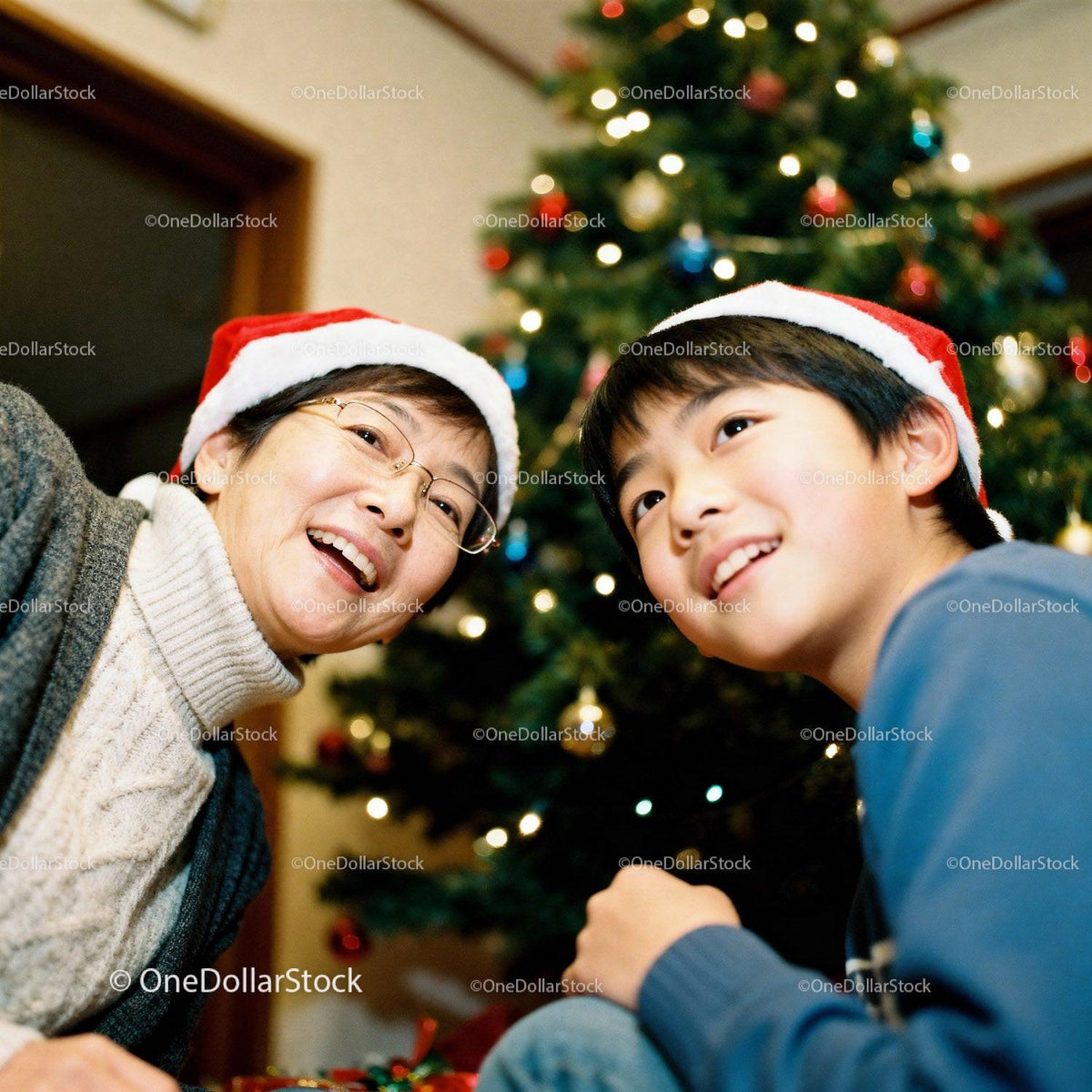 Joyful grandmother and grandson celebrating Christmas together