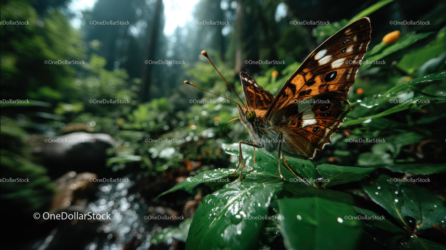 Orange and Brown Butterfly Resting on a Leaf in a Lush Forest Scene