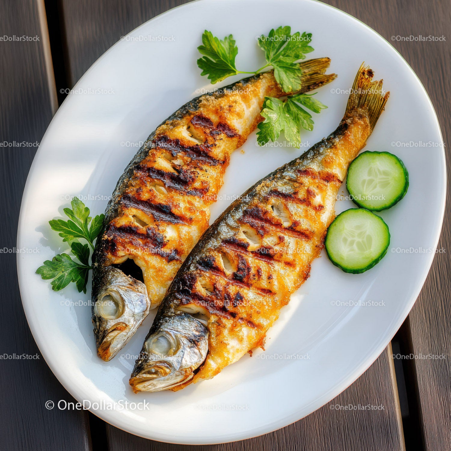 Grilled Mackerel with Cucumber Slices and Parsley on White Plate