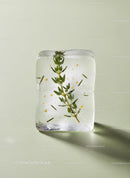 Clear Ice Cube with Fresh Herb and Herb Leaves Inside