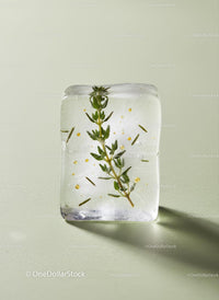 Clear Ice Cube with Fresh Herb and Herb Leaves Inside