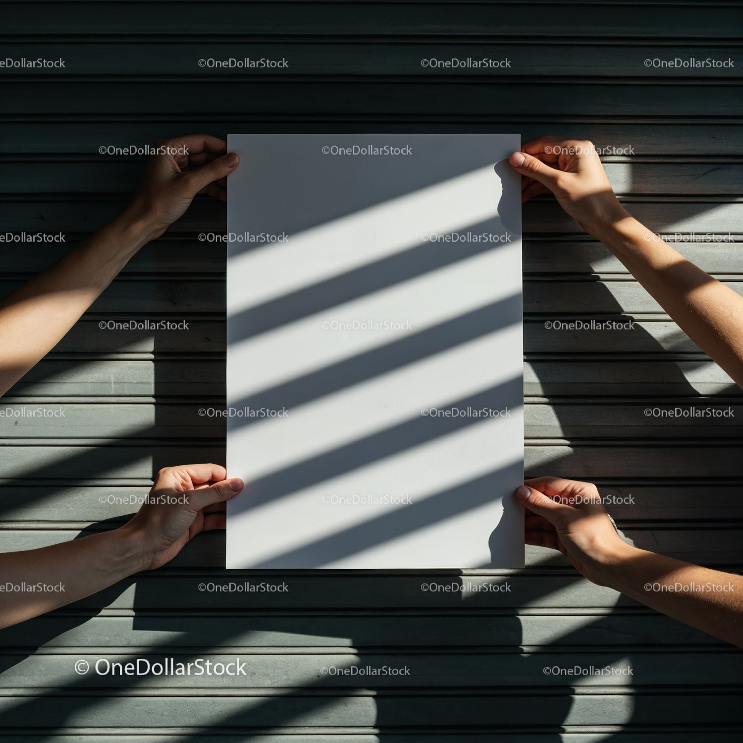 Four hands holding empty white paper with striped shadows
