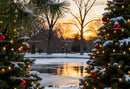 Snow-Covered Christmas Trees by Frozen Pond at Sunset