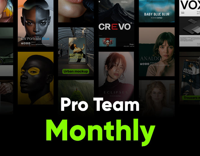 PRO (TEAM – 5 Seats) Monthly Plan