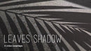 overlay-video-preview:overlays-leaves-shadow-20260417124920:20260417124920-13.mp4