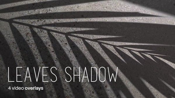 Leaves Shadow Video Overlays (4 MP4 Files)