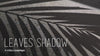 overlay-video-preview:overlays-leaves-shadow-20260417124920:20260417124920-13.mp4