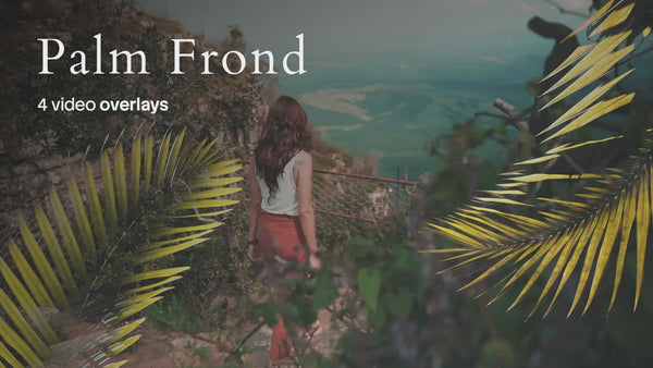 Palm Frond Video Overlays (4 MP4 Files)