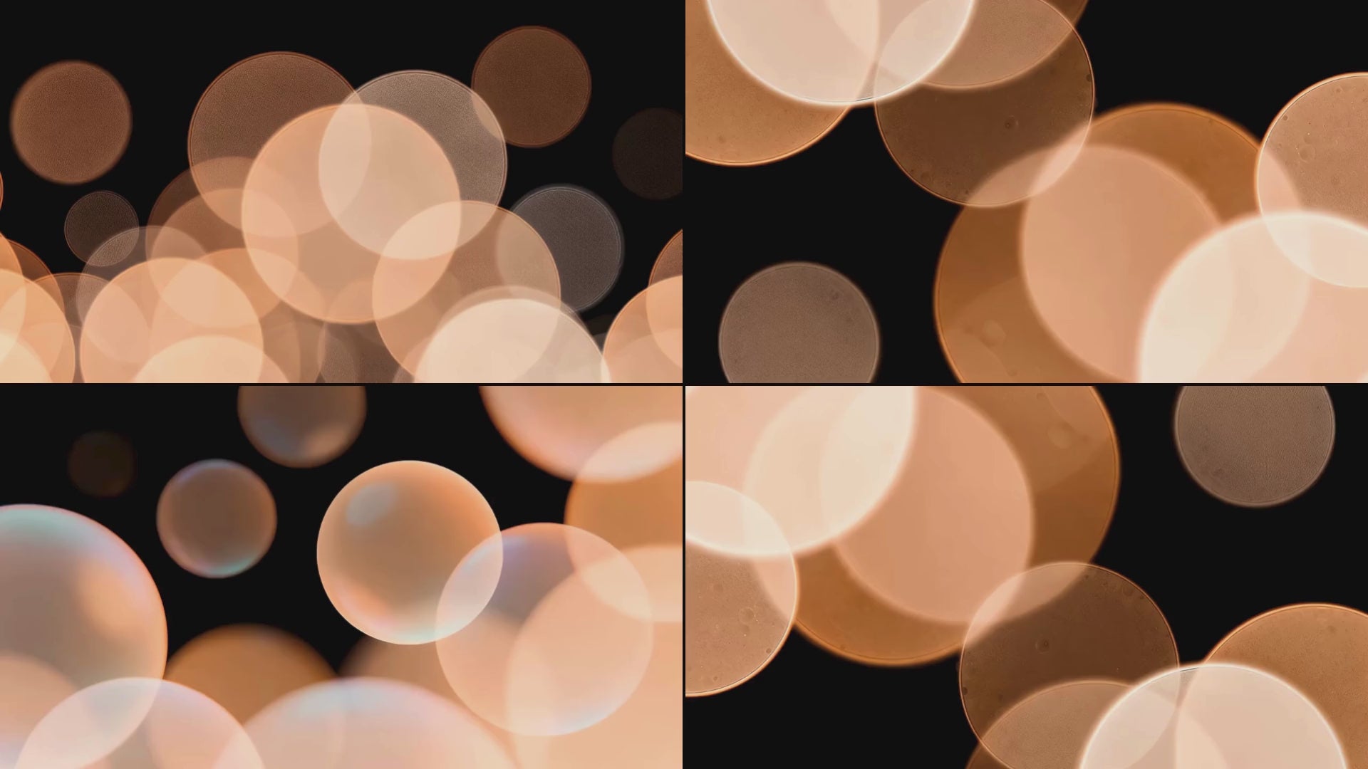overlay-video-preview:overlays-orange-bubbles-20260417125211:20260417125211-41.mp4