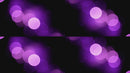 overlay-video-preview:overlays-violet-lights-20260417130000:20260417130000-59.mp4