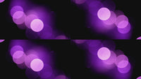 overlay-video-preview:overlays-violet-lights-20260417130000:20260417130000-59.mp4