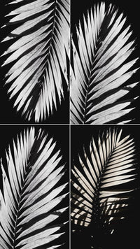 overlay-video-preview:overlays-bw-palm-frond-20260417124215:20260417124215-2.mp4