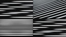 overlay-video-preview:overlays-white-lines-20260417130235:20260417130235-29.mp4