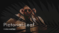 overlay-video-preview:overlays-pictorial-leaf-20260417125305:20260417125305-19.mp4