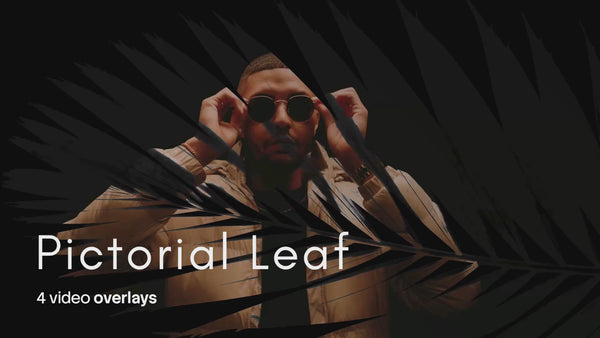 Pictorial Leaf Video Overlays (4 MP4 Files)