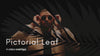 overlay-video-preview:overlays-pictorial-leaf-20260417125305:20260417125305-19.mp4
