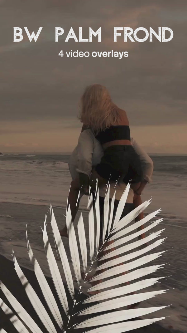 BW Palm Frond Video Overlays (4 MP4 Files)