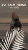 overlay-video-preview:overlays-bw-palm-frond-20260417124215:20260417124215-1.mp4