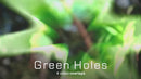 overlay-video-preview:overlays-green-holes-20260417124735:20260417124735-52.mp4