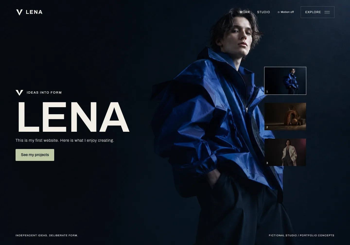Prepared VYNE example with the name LENA, a sentence about a first website and a See my projects button