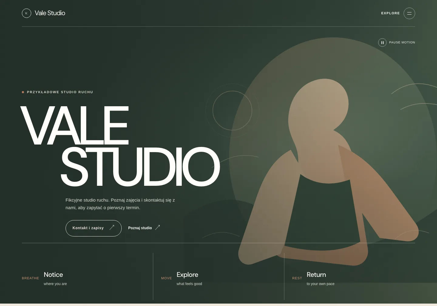 Przygotowane fikcyjne Vale Studio: tytuł VALE STUDIO, polski opis i przycisk Kontakt i zapisy na zachowanej ilustracji Serein.